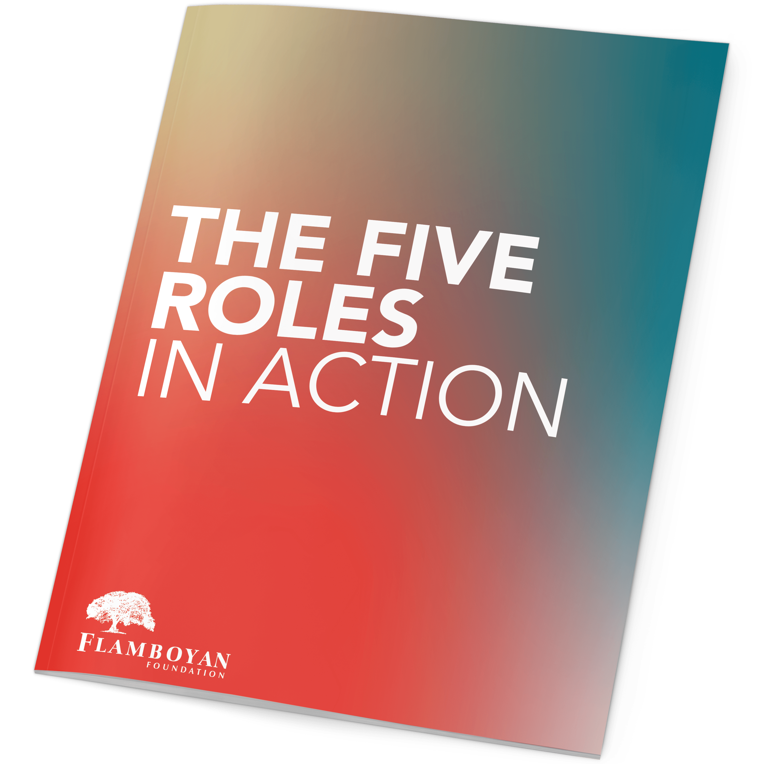 The Five Roles in Action by Flamboyan Foundation