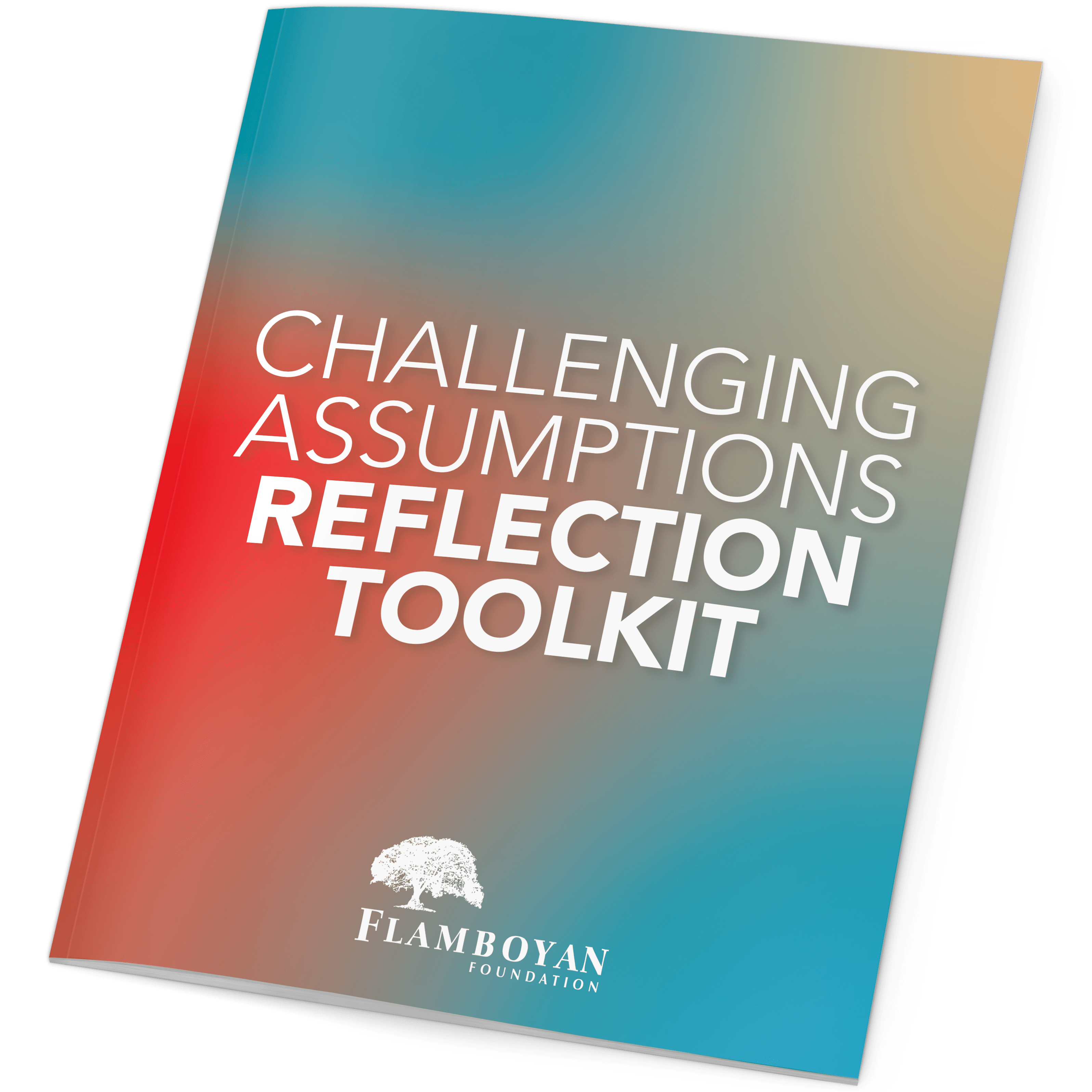 Challenging Assumptions Reflection Toolkit by Flamboyan Foundation