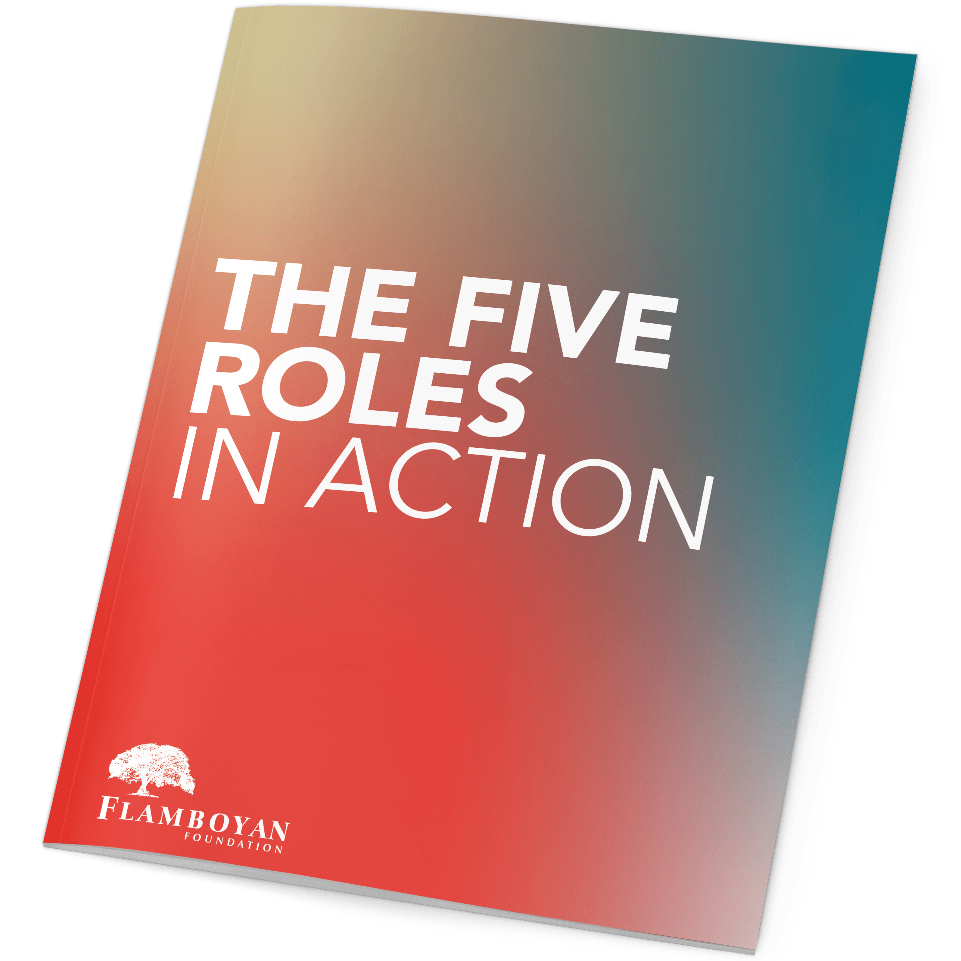 The Five Roles in Action by Flamboyan Foundation